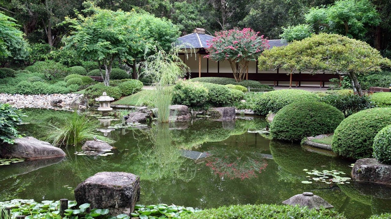 Mt. CooTTha Botanic Garden Brisbane Australia 2018 YouTube Mt. CooTTha Botanic Garden Brisbane Australia 2018 YouTube