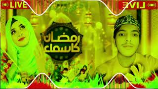 MCan You Guess The Fake Watermelon?Lighter and Fire Starter hasnain bhai #dj #djviral #djsong #love