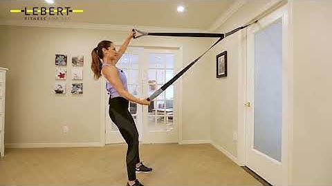 Alligators | Lebert HIIT System