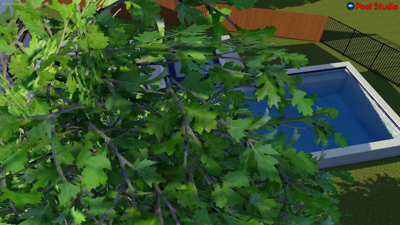 Good Residence | Austin Pool Builder | Denali Pools