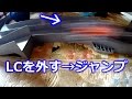 【ミニ四駆】レーンチェンジを外すといいジャンプ!!&アンラッキーデー【ジャパンカップ ジュニアサーキット】