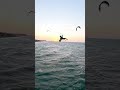 This is what happens when Brazil’s prime conditions meet Josue 🦈#bigair  #gkakiteworldtour #brazil