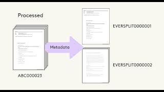 Unitize Documents on Everlaw