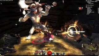 Guild Wars 2 - A Cheap Way To Reach Lvl 10