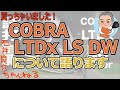 今話題の【COBRA LTDx LS DW】 買っちゃいました！ｗ「石井プロが話題のコブラLTDxドライバーについて語ります」