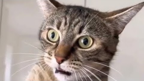 Random videos I have in my camera roll (pt. 2)