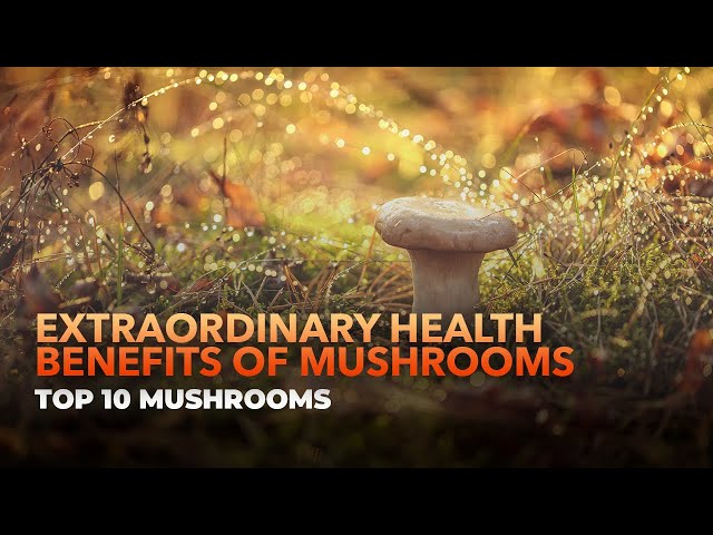 Extraordinary Health Benefits of Mushrooms #health