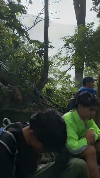 Mentahan Story || #shorts #story #storywa #mentahan #video