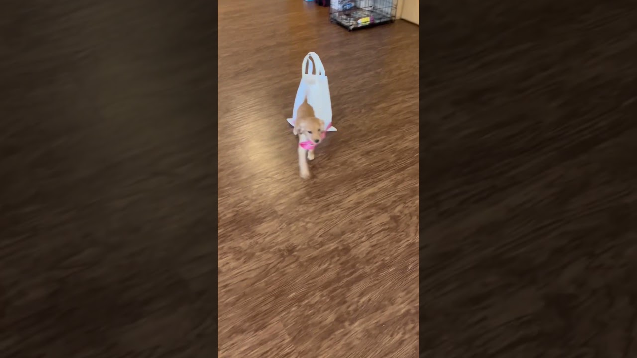 To cute not to share 