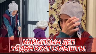 КҮЙӨМ УРУП МАЙЫП КЫЛЫП КОЙДУ😰