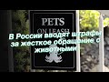 В России вводят штрафы за жесткое обращение с животными