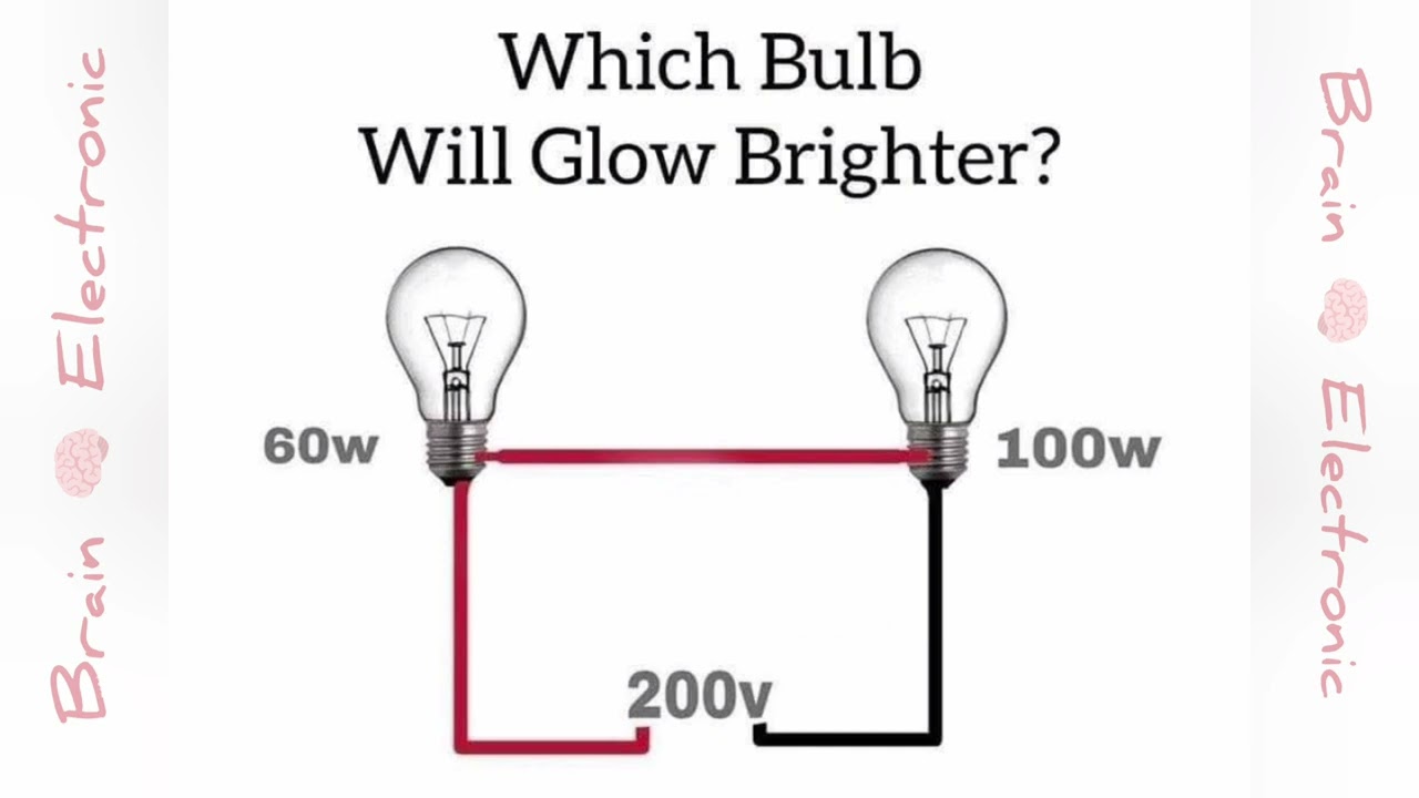 Which bulb will grow better ? Comment 