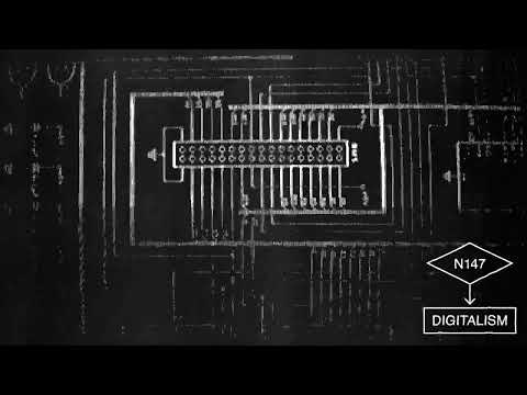 Picnic Digitalism