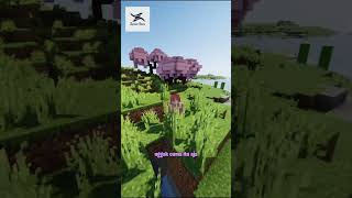 Lagi Nyari Store yang menyediakan Kebutuhan Server Minecraft??? Zyroxa Store solusinya. #shorts