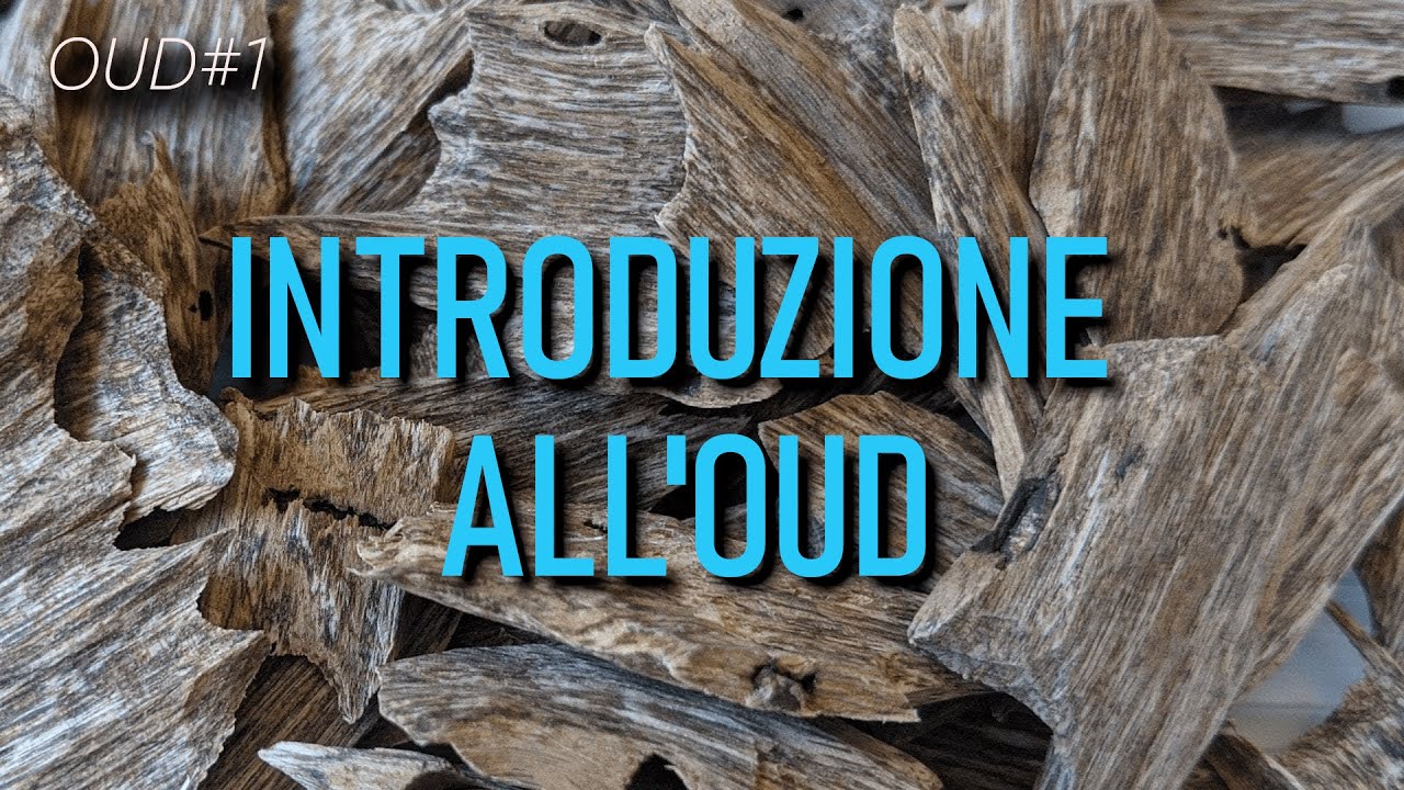 OUD. Sa veramente di 💩? Parliamone #agarwood #oud