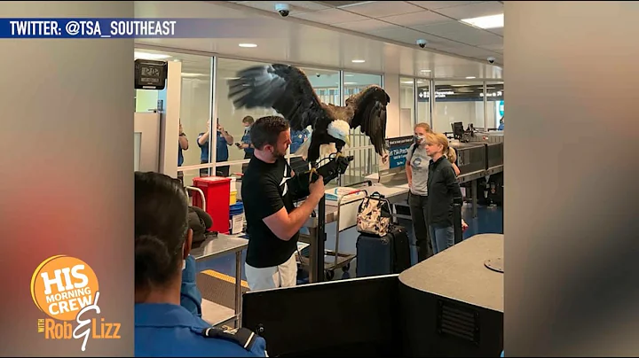 A Bald Eagle Goes Through TSA