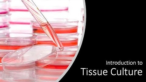Introduction to Cell Culture