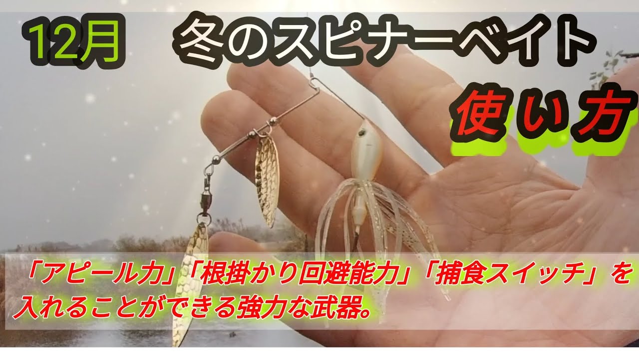 【バス釣り】冬でもスピナーベイト縛りでやってみた。