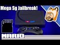 How to Jailbreak Your Analogue Mega Sg! - Play Games From a SD Card