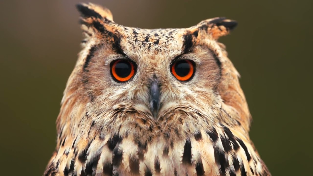 Fantastic Places on Earth HDR 4K 60fps Dolby Vision   4K Video ULTRA HD 4K 60fps   Ultra HD Nature S