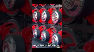 High Power Subwoofer soundsystem epectronic