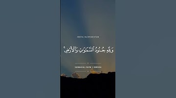 Surah Al Fath - سورة الفتح‎ - Abdul Rahman Mossad عبدالرحمن مسعد - The Holy Records