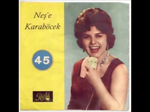 Neşe Karaböcek -