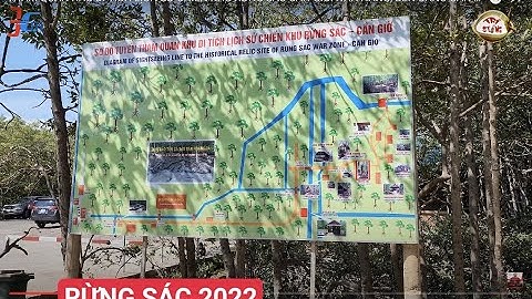 THAM QUAN KHU DI TÍCH LỊCH SỬ CHIẾN KHU RỪNG SÁC CẦN GIỜ: NHÀ HÀNG, BẾN CANÔ CĂN CỨ ĐẢO KHỈ RỪNG SÁC
