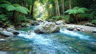 Sleep Fast Tonight – River Sound 8 Hours Nature – Calm Mind