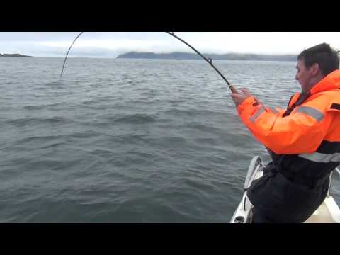 Fiske i Norge, Myfjord Sjöhus Hälleflundra 2013   Del 4/ 5