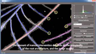 RootNav Demonstration