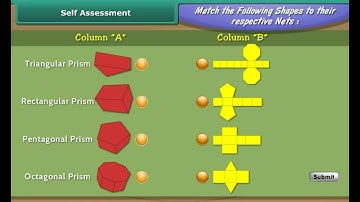 Visualising Solid Shapes | Maths Chapter Explained