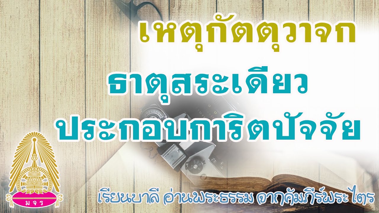 ๙ ๑ ๒๕๖๔ ธาตุสระเดียว ประกอบการิตปัจจีย  หลักการพฤทธิ์และแปลง