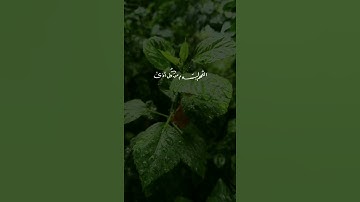 راحة من متاعب الحياة 😴💕 اسلام صبحي | حالات واتس اب دينية 🌿 من سورة الإنسان 🍂