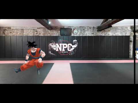 💥💥💥 NPC Camp 💥💥💥👊Act10👊Saison1👊BONUS👊DBZ👊Sangoku👊LaSalleDuTempsEtDeL'esprit👊