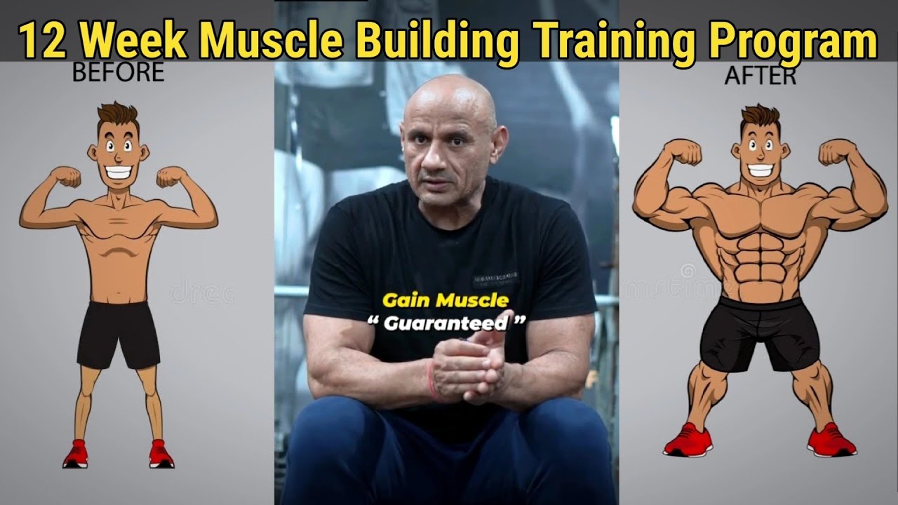 12 Week Muscle Building Training Program | Mukesh Gahlot #youtubevideo ...