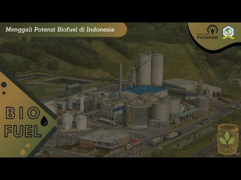 Video: Apakah biofuel lebih murah daripada bahan bakar fosil?