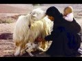 Bakhtiari Gole Naz Darom بهمن علأ دین مسعود بختیاری گل ناز دارم Bakhtiari Gole Naz Darom بهمن علأ دین مسعود بختیاری گل ناز دارم