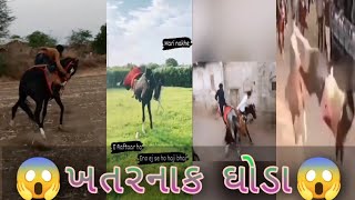 ખતરનાક ઘોડા#kathiyavadihorsedhanraj #kathiyavadifuleku#ghodo#fuleku#kudvavalaghoda