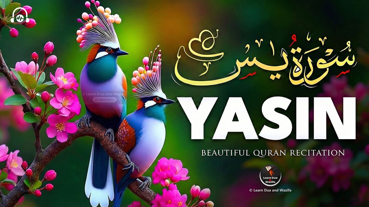 Surah Yaseen (Yasin) سورة يس | Relaxing Heart Touching Quran Recitation Tranquility #lofiquran