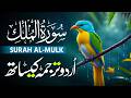 Surah Al-Mulk سورة الملك | Heart-Calming Recitation for Protection, Peace & Night | Qari Mansoor