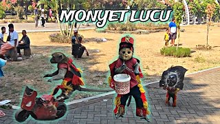 Funny Monkey, Funny and Smart Monkey Mask full Attraction Monkey Mask part 5