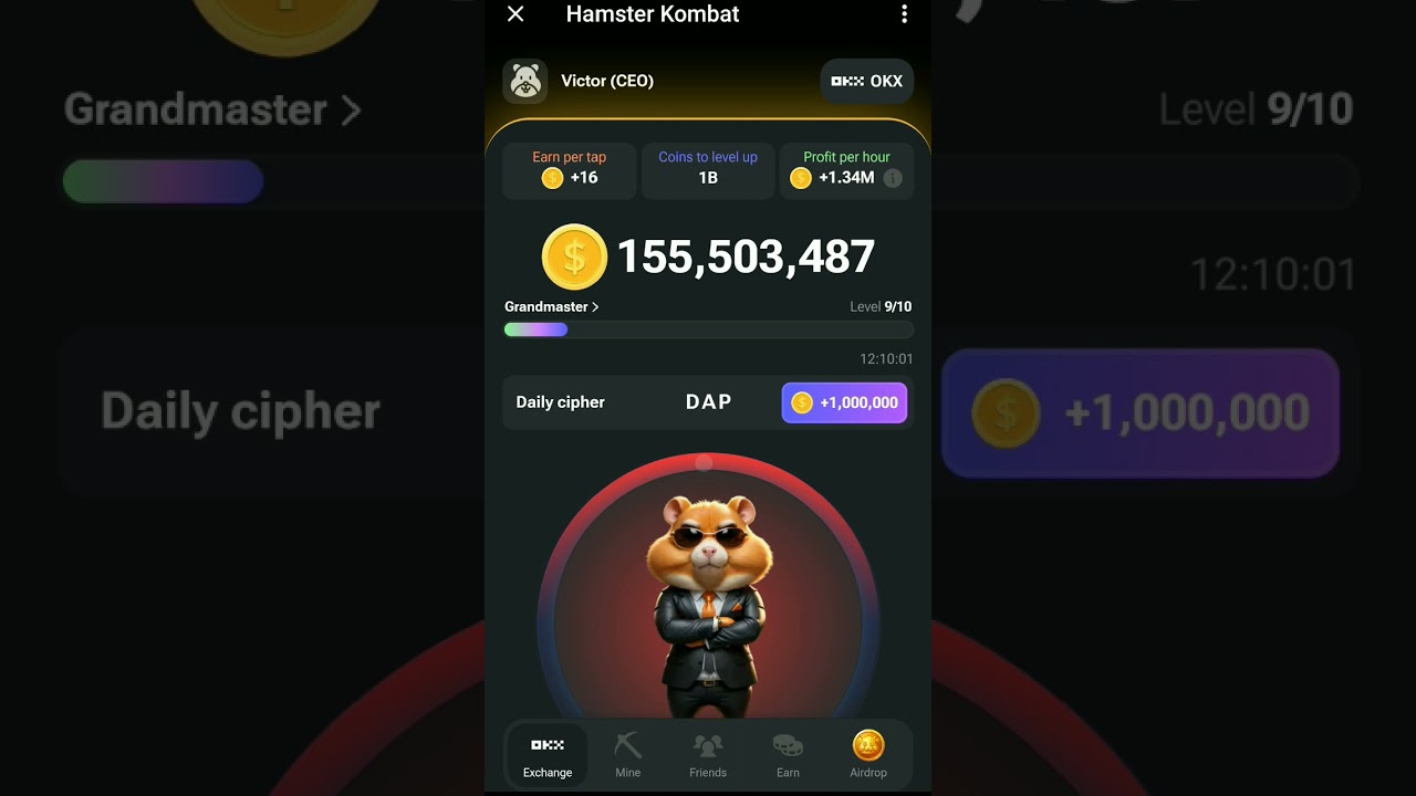 Hamster Kombat daily cipher 