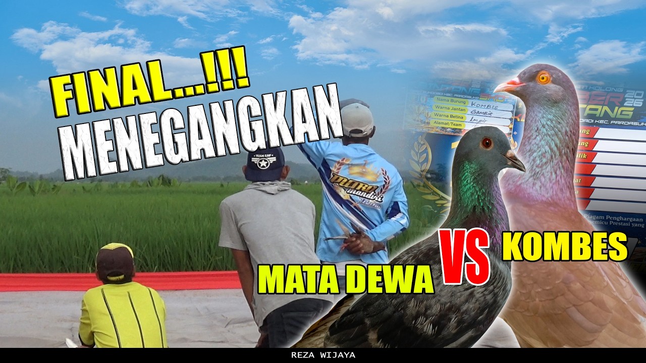 DETIK DETIK MENEGANGKAN FINAL REGULER || LAPKOL SUMBER BINTANG SKD