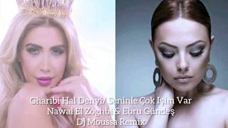 Gharibi Hal Denyi/Seninle Çok Işim Var - Nawal El Zoghbi & Ebru Gündeş - Dj Moussa Remix Resimi