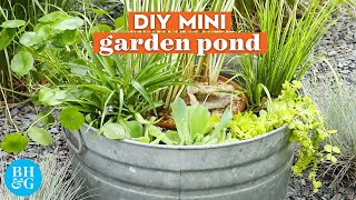 Easy DIY Garden Pond in a Bucket Basics Better Homes Gardens