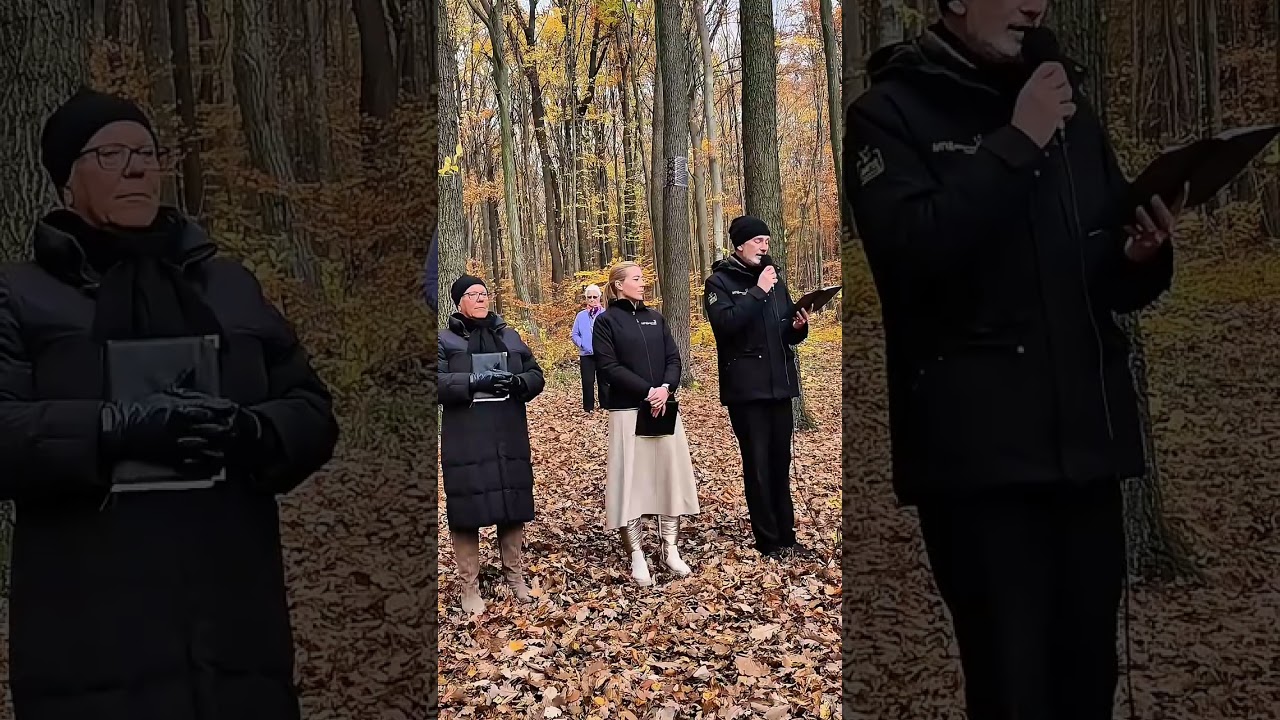 Gedenkfeier Allerheiligen 2025 - Wald der Ewigkeit