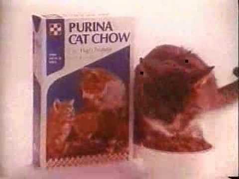 purina cat chow