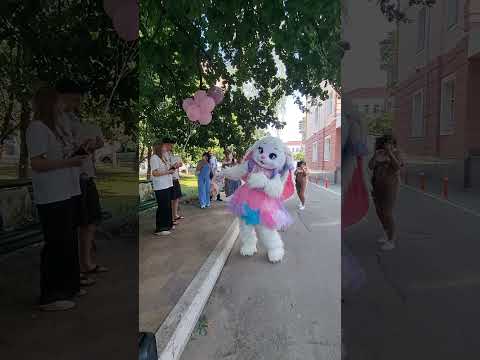 Зайка на Привітання з Днем Народження Дитини Аніматор Київ ін юа 0935402258