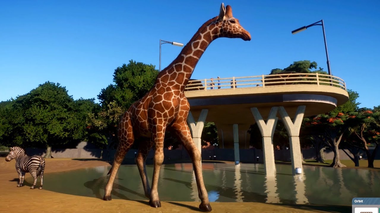 planet zoo ฟรี  New 2022  Planet Zoo - Reticulated Giraffe - Open World Free Roam Gameplay (PC HD) [1080p60FPS]